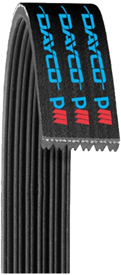 DAYCO Poly Rib Serpentine Belt - 5060465