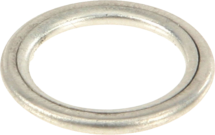 Victor Reinz Oil Drain Plug Gasket - N 013 815 7